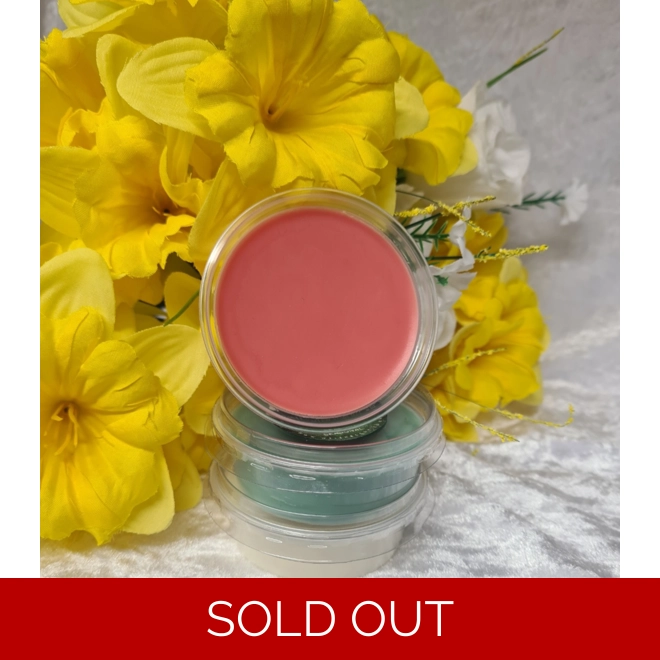 product Image for Santa's Helper